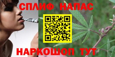 apvp Новодвинск