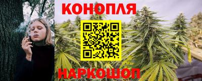 apvp Новодвинск