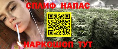 каннабис Новозыбков
