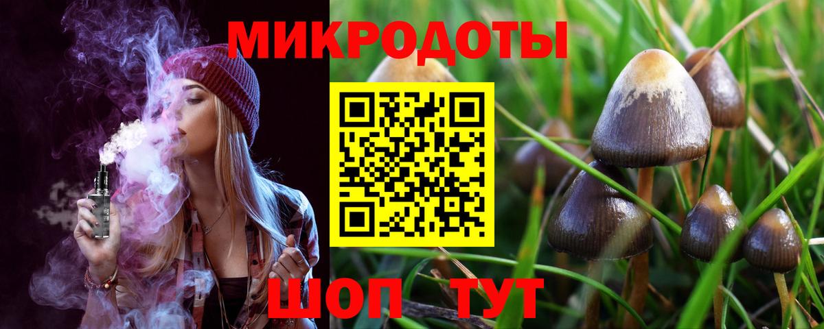 Псилоцибиновые грибы Magic Shrooms Чехов